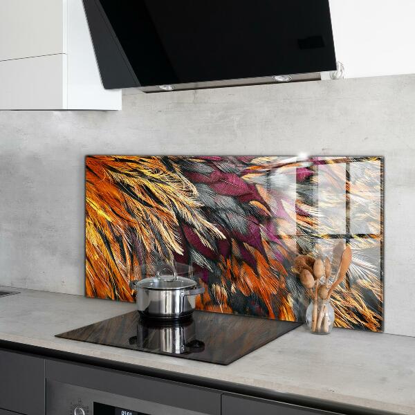 Glass splashback Colorful bird feathers