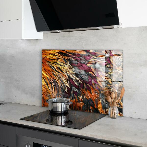 Glass splashback Colorful bird feathers
