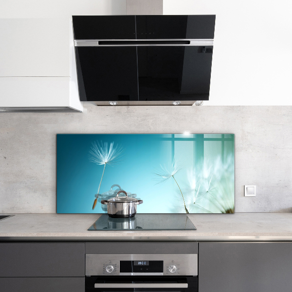 Kitchen splashback Dandelion dandelion in the wind