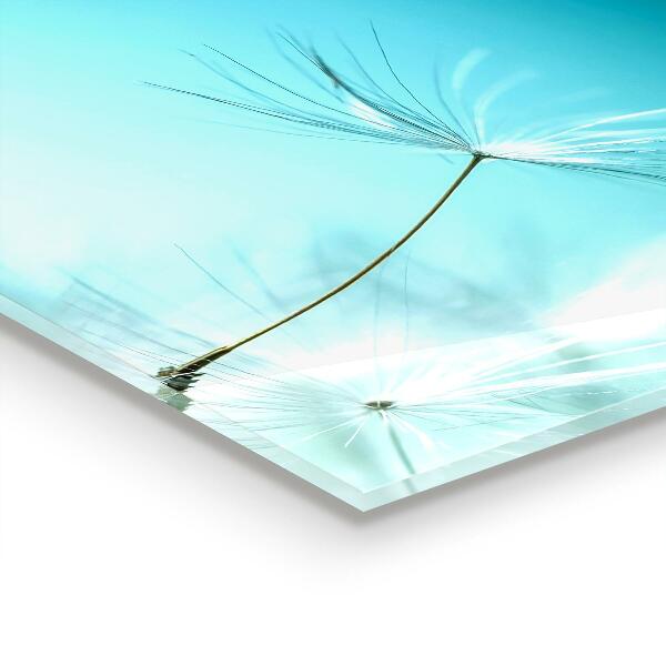 Kitchen splashback Dandelion dandelion in the wind