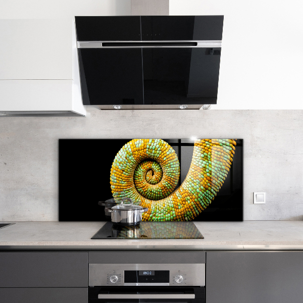 Cooker splashback Chameleon tail nature