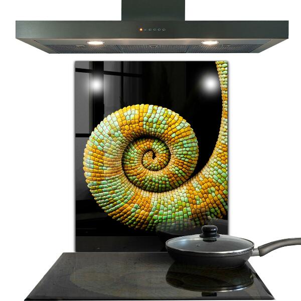 Cooker splashback Chameleon tail nature