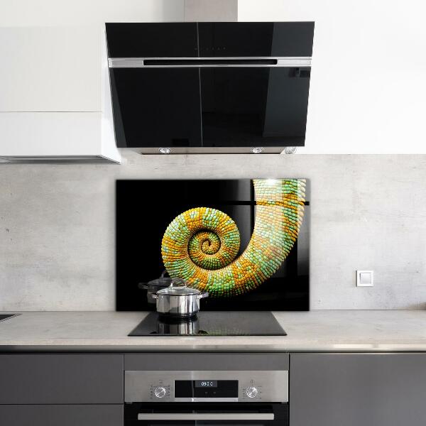 Cooker splashback Chameleon tail nature