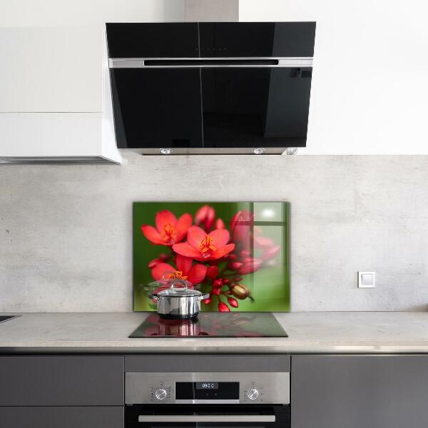 Kitchen wall panels Blooming flower buds