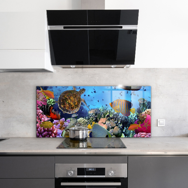 Cooker splashback Barrier reef caribbean