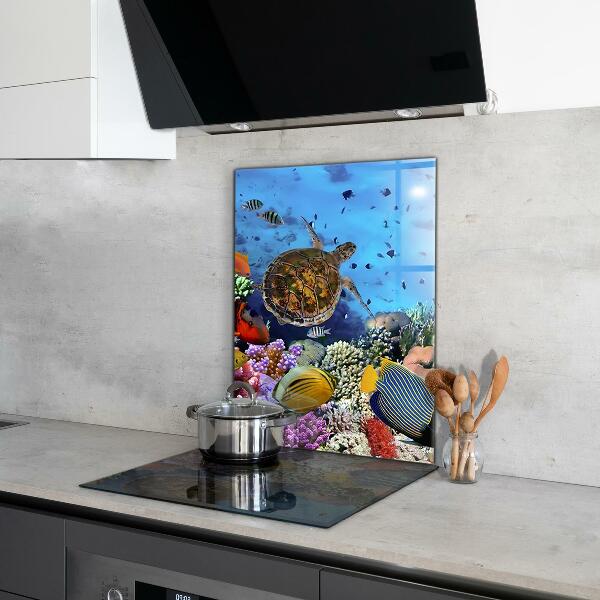 Cooker splashback Barrier reef caribbean