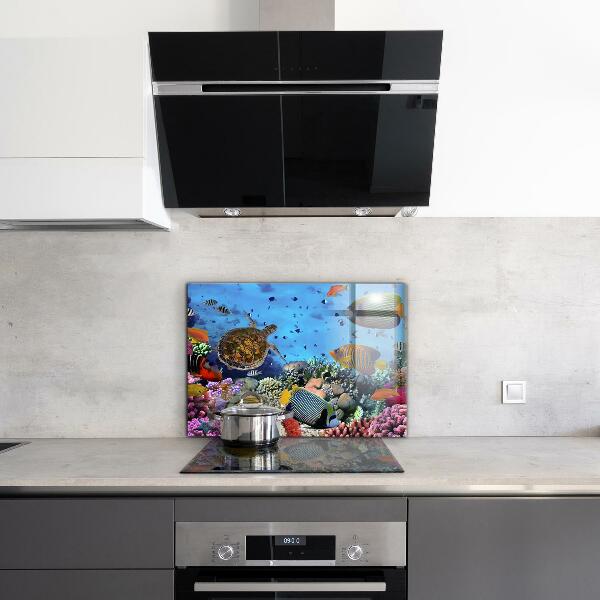 Cooker splashback Barrier reef caribbean