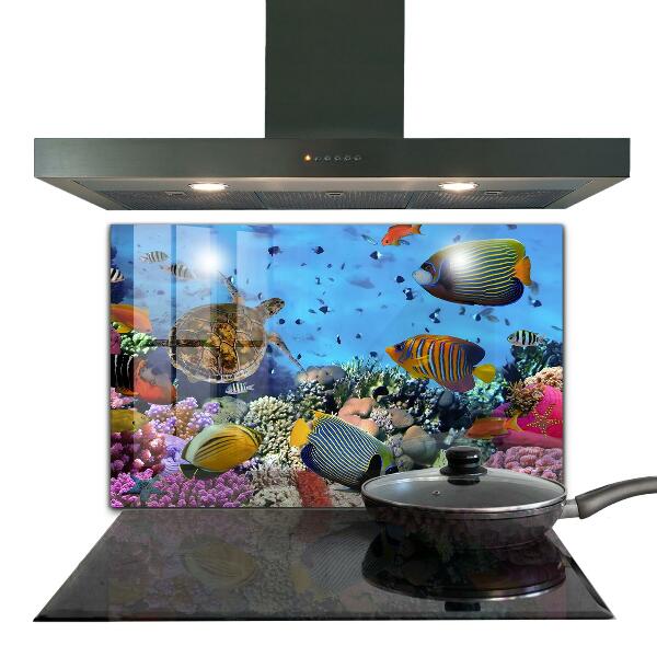 Cooker splashback Barrier reef caribbean