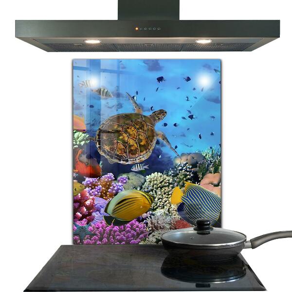 Cooker splashback Barrier reef caribbean
