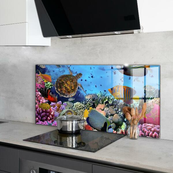 Cooker splashback Barrier reef caribbean