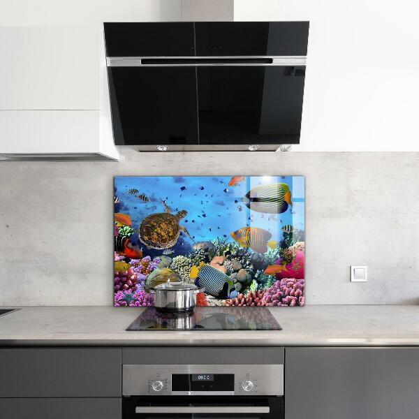 Cooker splashback Barrier reef caribbean