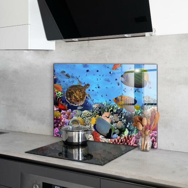 Cooker splashback Barrier reef caribbean