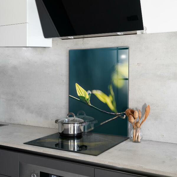 Kitchen wall panels Shiny leaf on branch