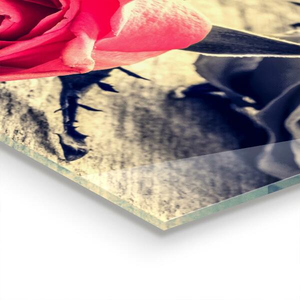 Kitchen wall panels Rose symbol of love