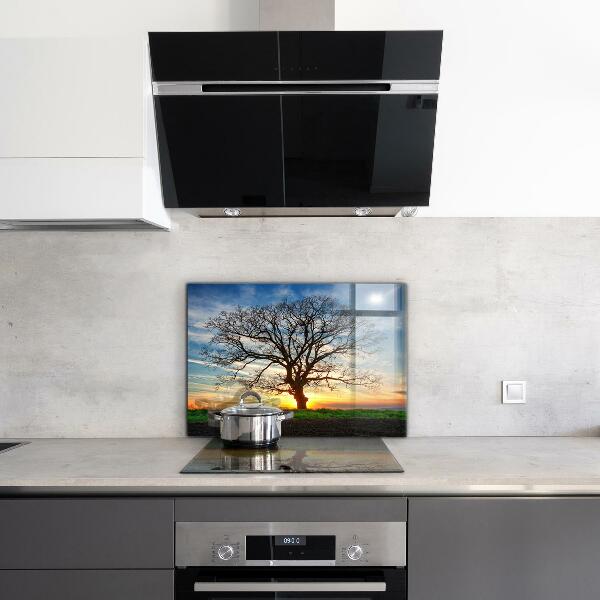 Cooker splashback Landscape meadow in the morning