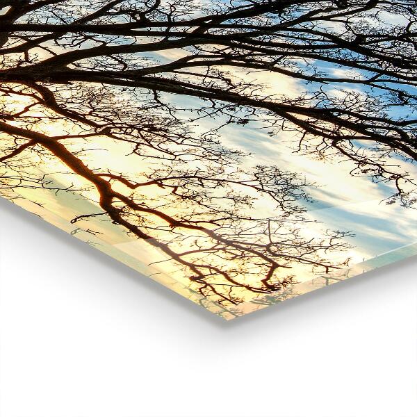 Cooker splashback Landscape meadow in the morning