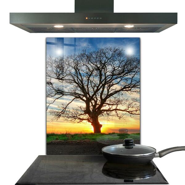 Cooker splashback Landscape meadow in the morning