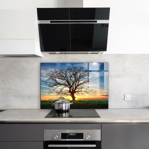 Cooker splashback Landscape meadow in the morning