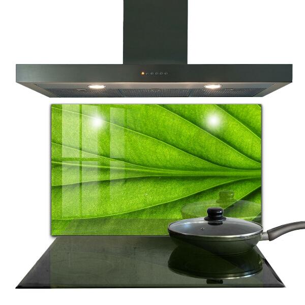 Kitchen wall panels Green leaf details