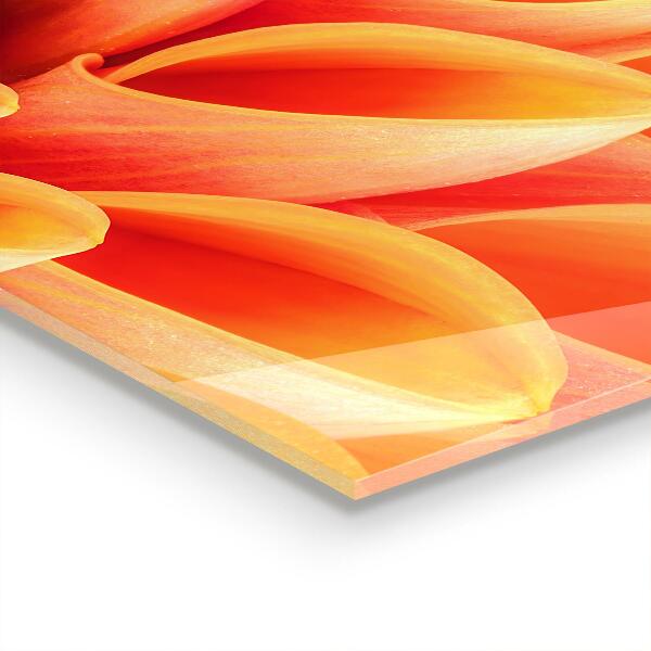 Kitchen wall panels Orange flower