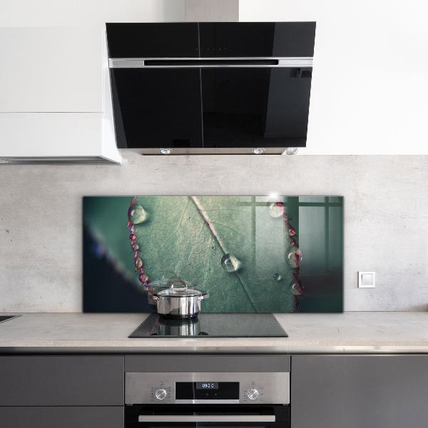 Kitchen wall panels Leaf with a dew drop