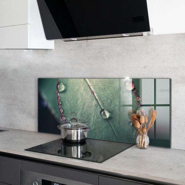 Kitchen wall panels Leaf with a dew drop
