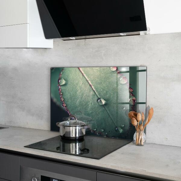 Kitchen wall panels Leaf with a dew drop