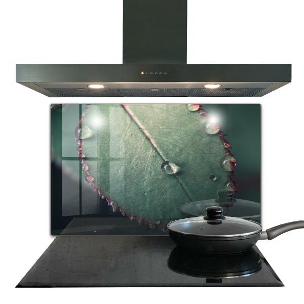 Kitchen wall panels Leaf with a dew drop