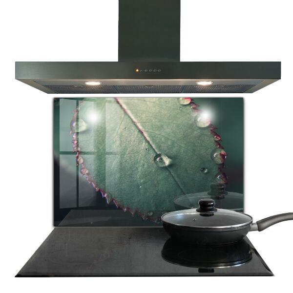 Kitchen wall panels Leaf with a dew drop