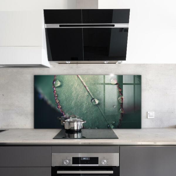 Kitchen wall panels Leaf with a dew drop