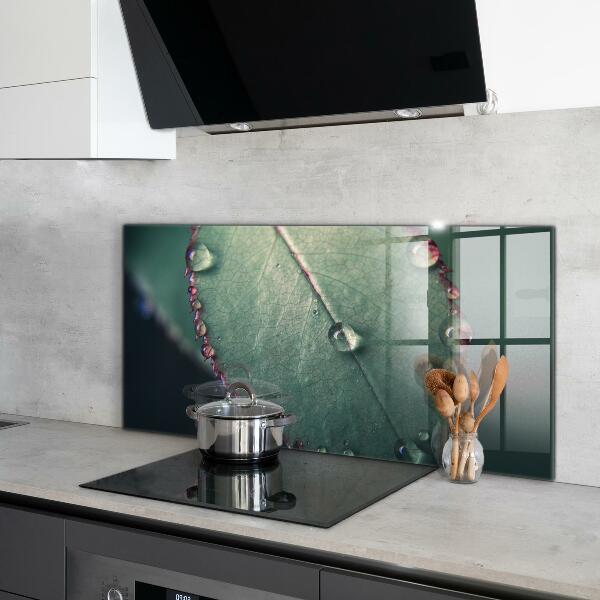 Kitchen wall panels Leaf with a dew drop