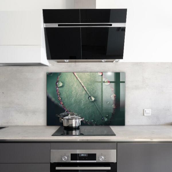 Kitchen wall panels Leaf with a dew drop