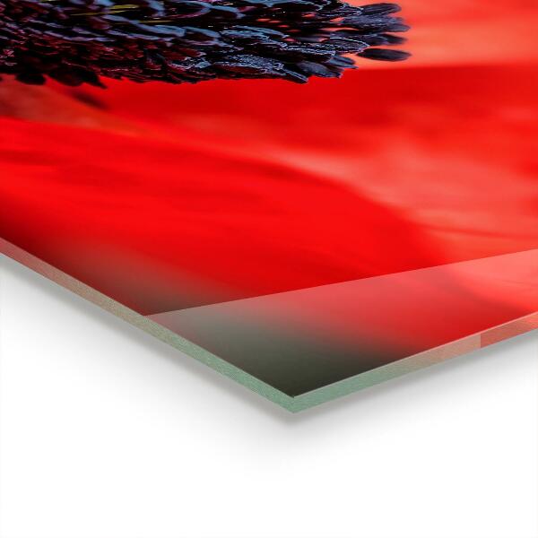 Kitchen wall panels Red poppy details