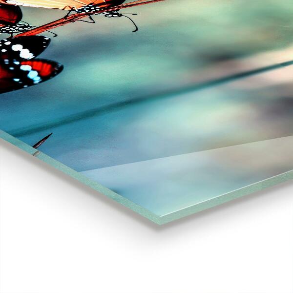 Cooker splashback Delicate butterfly in the wind