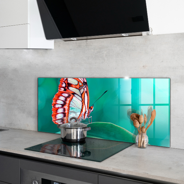 Cooker splashback Beautiful butterfly in nature