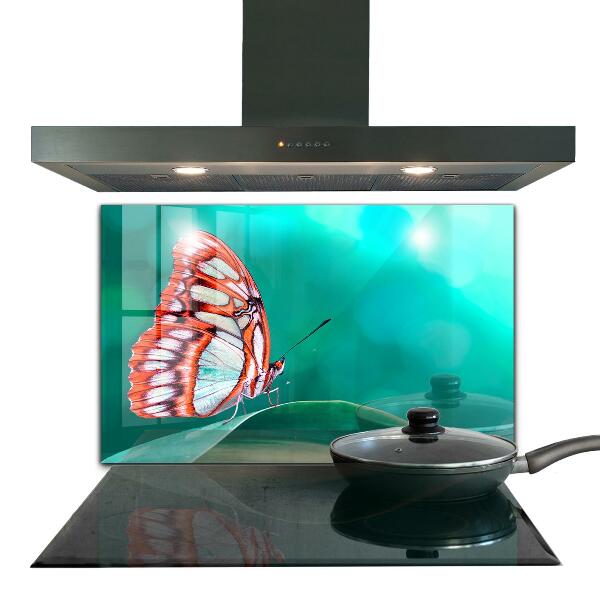 Cooker splashback Beautiful butterfly in nature