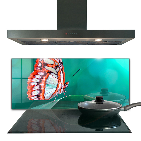 Cooker splashback Beautiful butterfly in nature