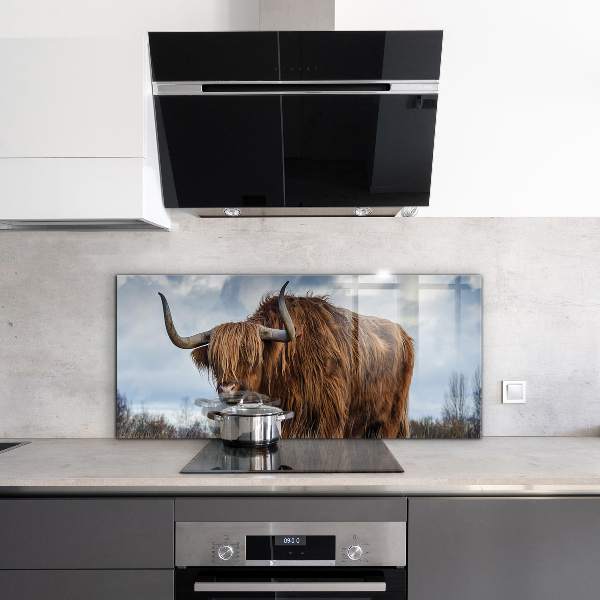 Kitchen splashback Highland boho cow