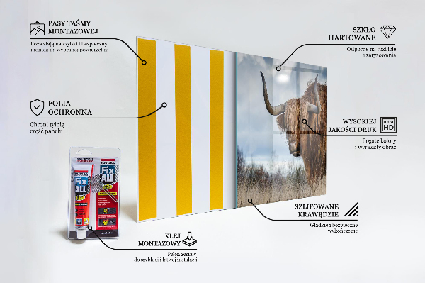 Kitchen splashback Highland boho cow