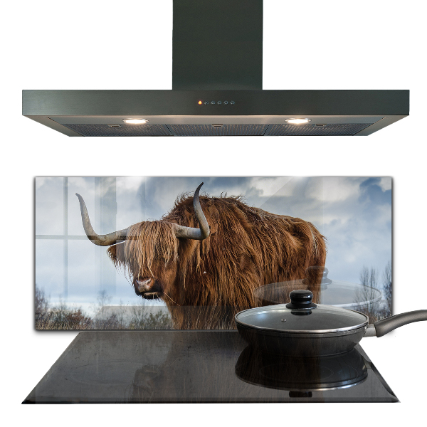 Kitchen splashback Highland boho cow