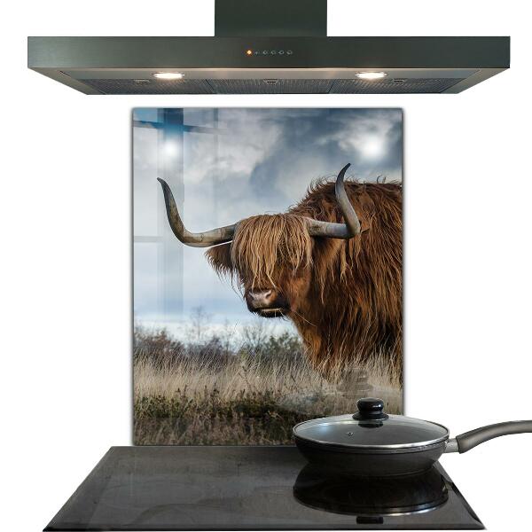 Kitchen splashback Highland boho cow