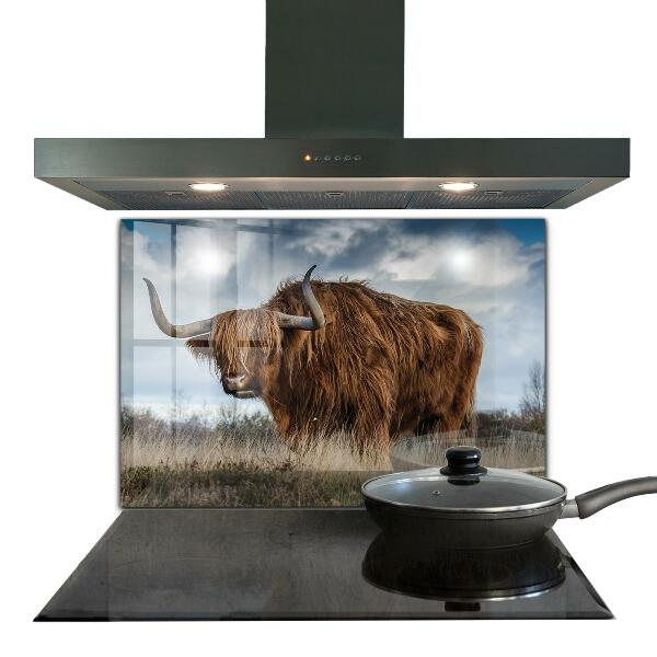 Kitchen splashback Highland boho cow