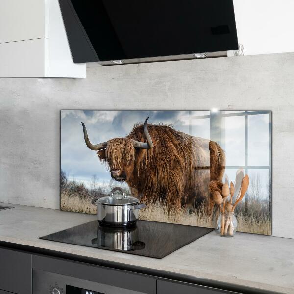 Kitchen splashback Highland boho cow