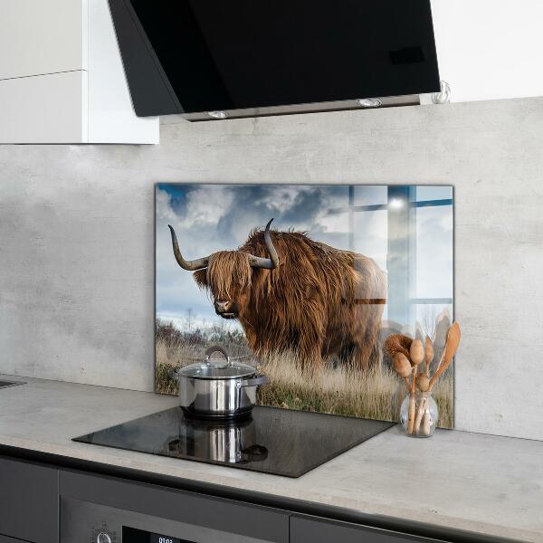 Kitchen splashback Highland boho cow