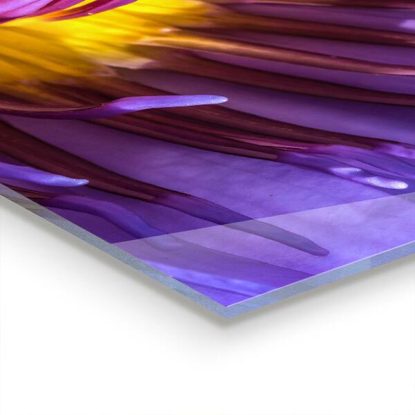 Kitchen wall panels Purple flower details