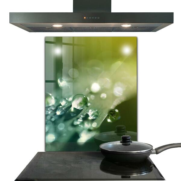 Kitchen wall panels Dew on green leaves