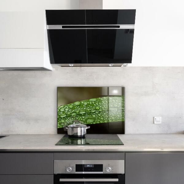 Kitchen wall panels Green leaf after rain