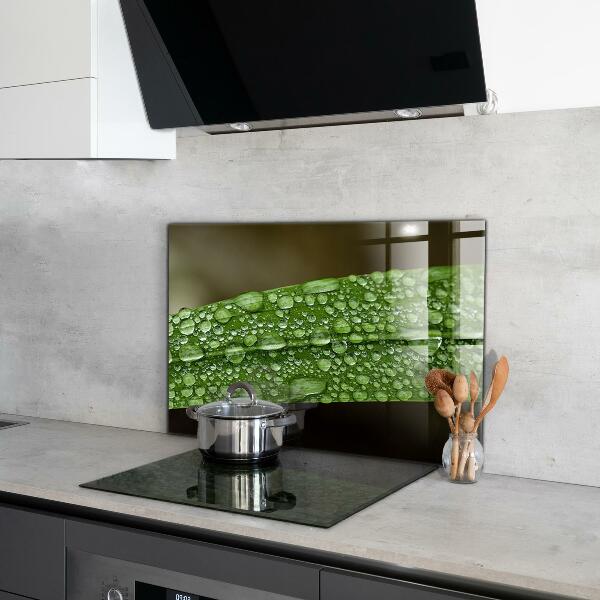 Kitchen wall panels Green leaf after rain