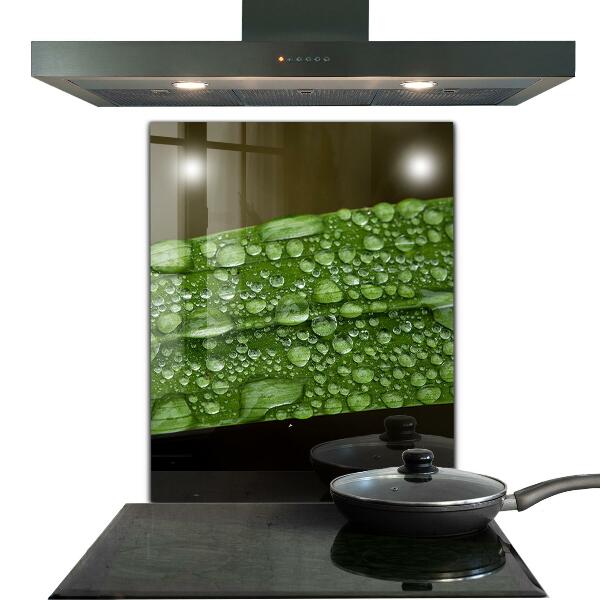 Kitchen wall panels Green leaf after rain