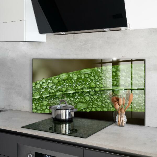 Kitchen wall panels Green leaf after rain